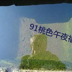 印尼巴士模拟器国产车辆模组 